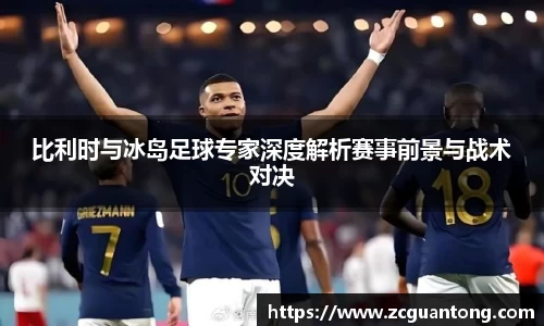 比利时与冰岛足球专家深度解析赛事前景与战术对决
